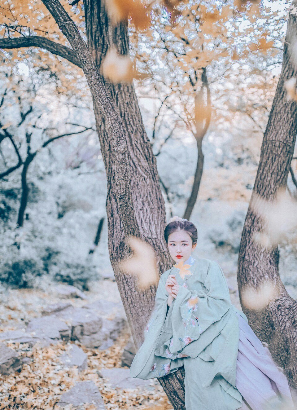 汉服与汉文化 汉服女子顾小思菩提雪汉服枫叶林 汉服少女 古风背景