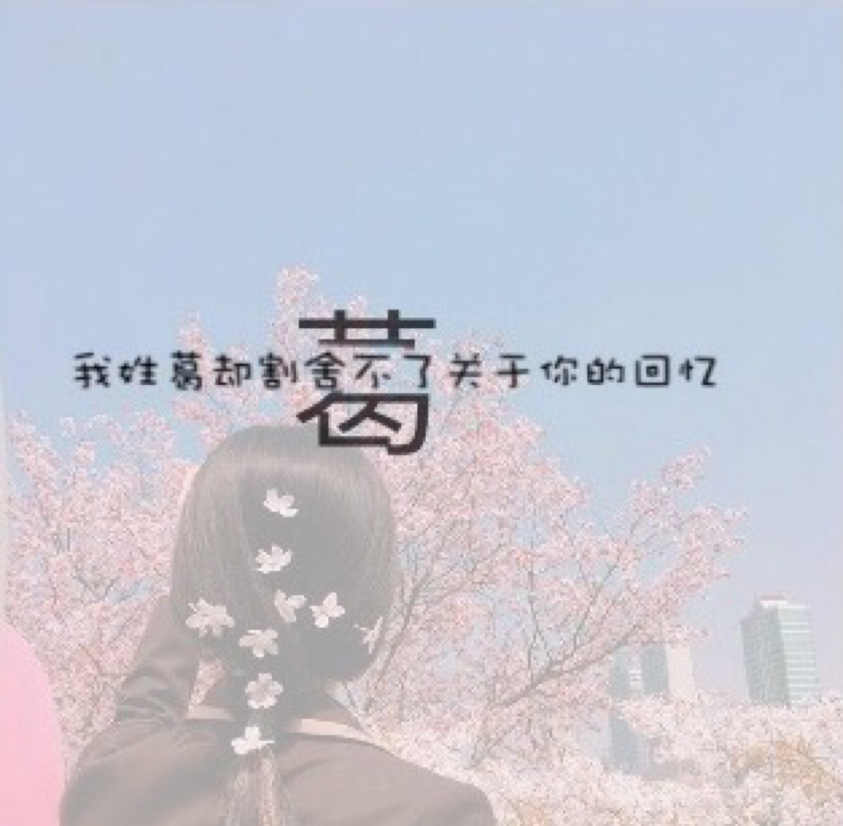 葛 姓氏图 姓氏短句 原创