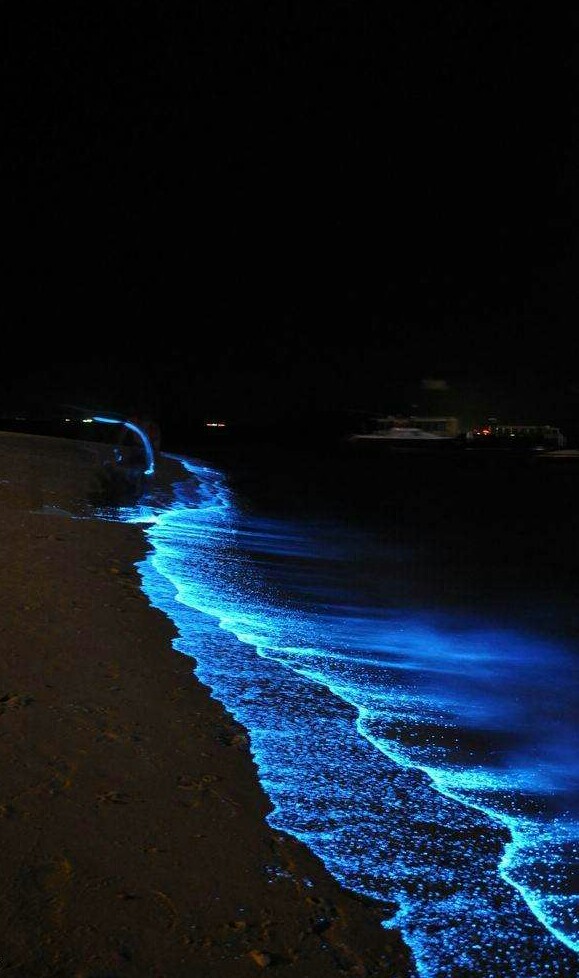 荧光海滩