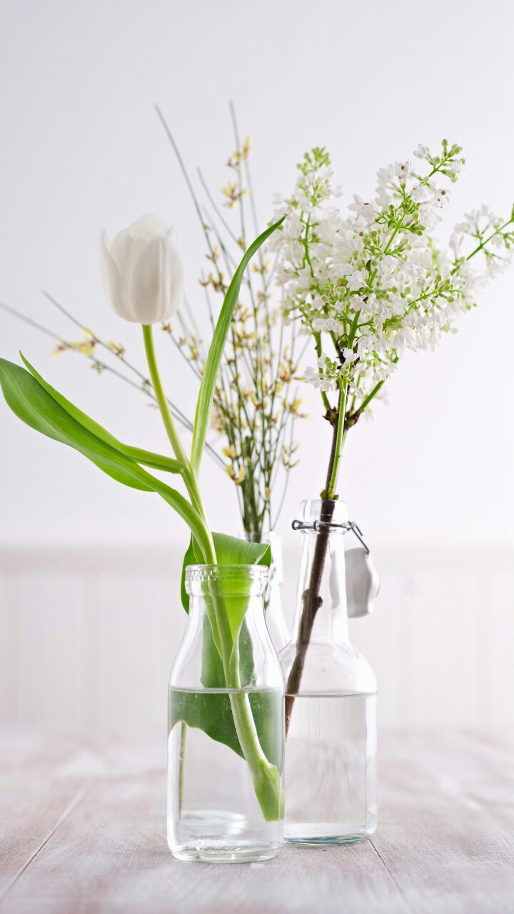简单的玻璃瓶与清水,插上白色花束,素雅淡然.