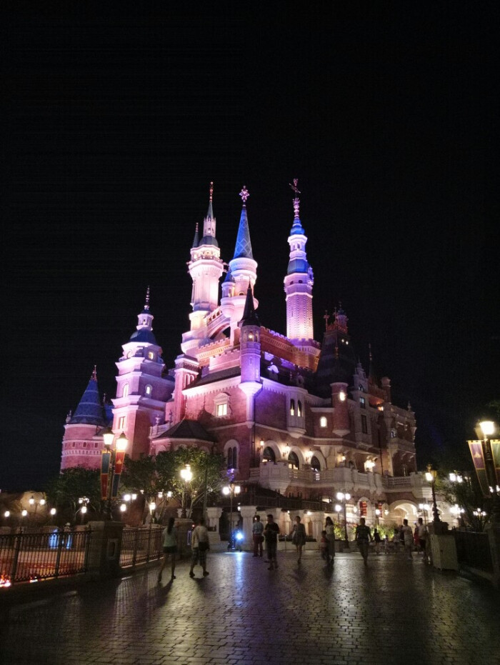 上海之行#拍一张城堡的近景,夜晚的城堡真美()