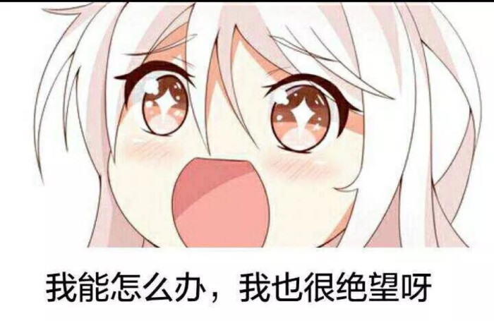 我能怎么办啊,我也很绝望啊