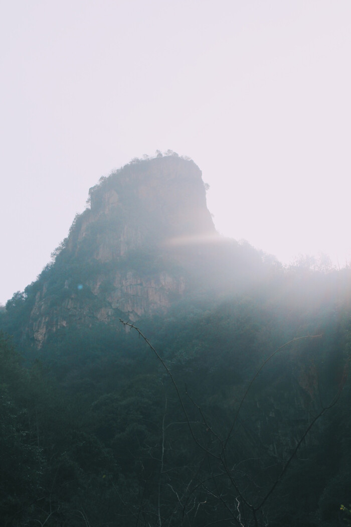 大山的子孙呦