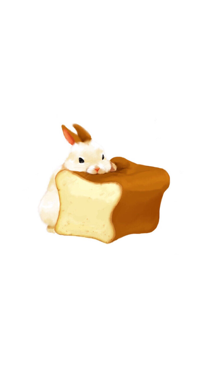 iphone壁纸 兔子 萌宠 可爱 美食
