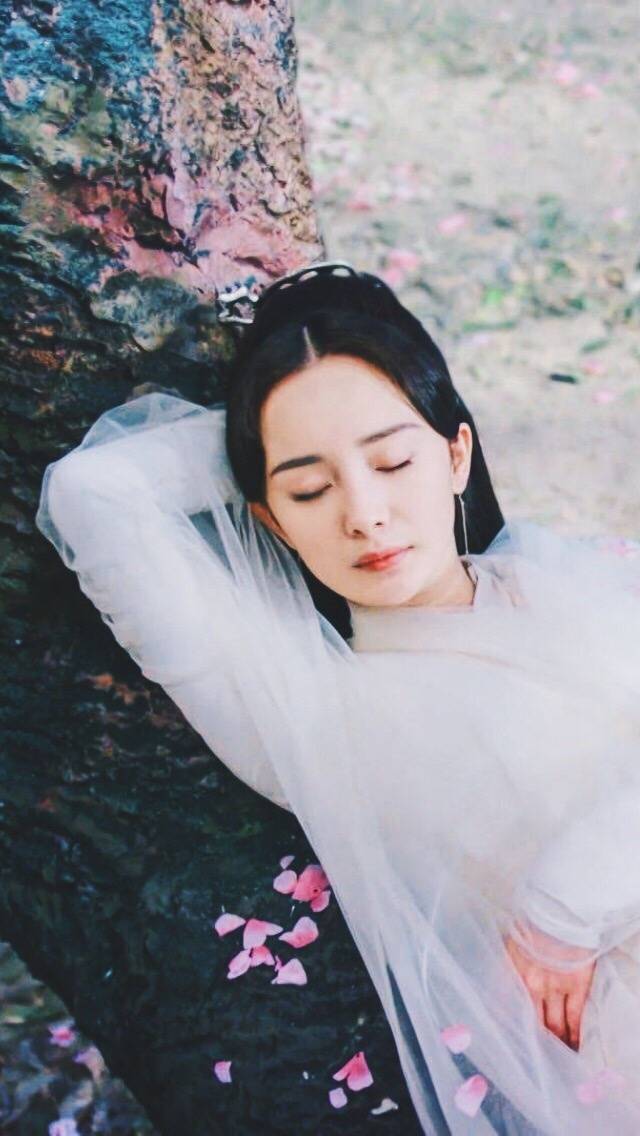 白浅