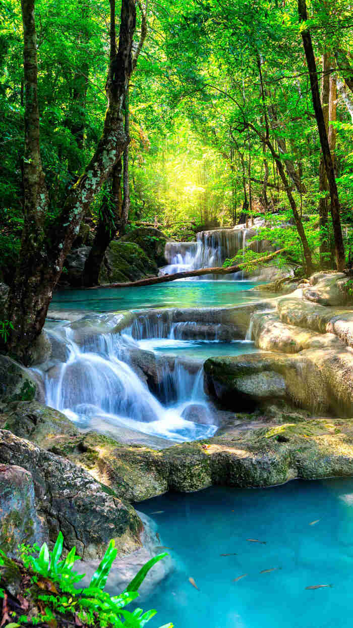 【森林瀑布】绿意森林里,蓝色水流层层流下,形成小型瀑布景致,整个
