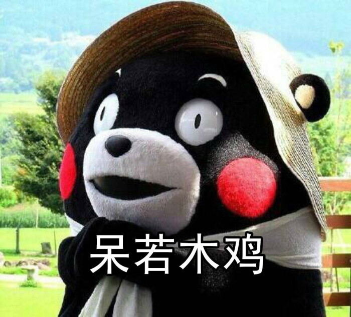 表情包啊