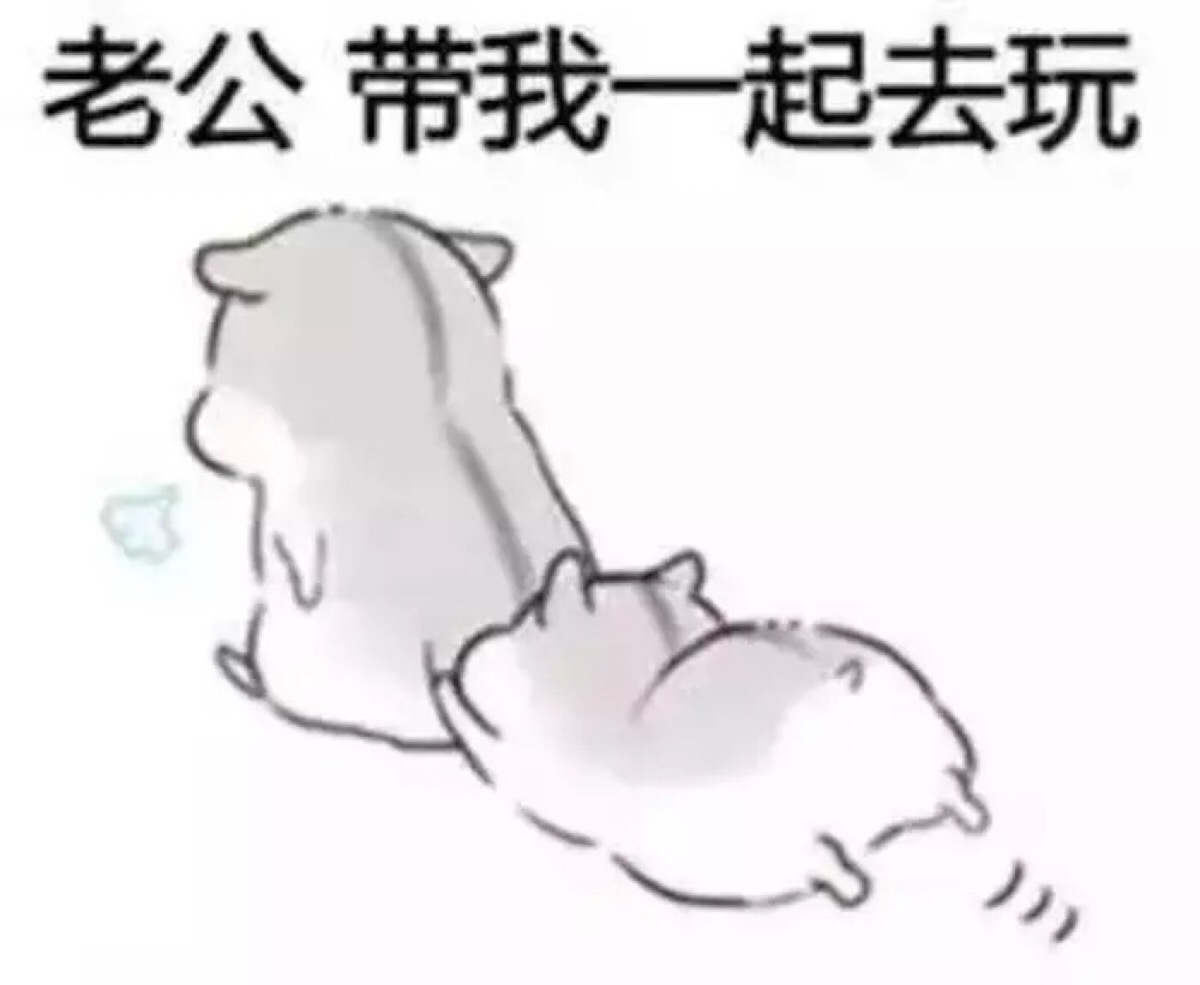 花栗鼠 