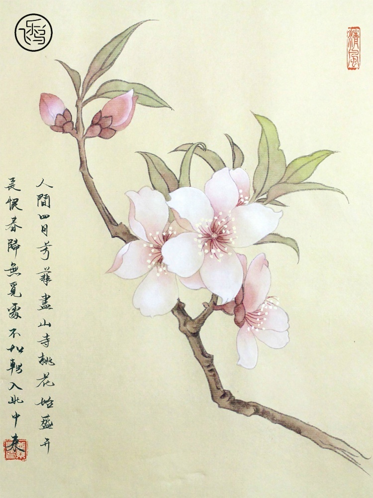 飞乐鸟作品# 《工笔画技法从入门到通》