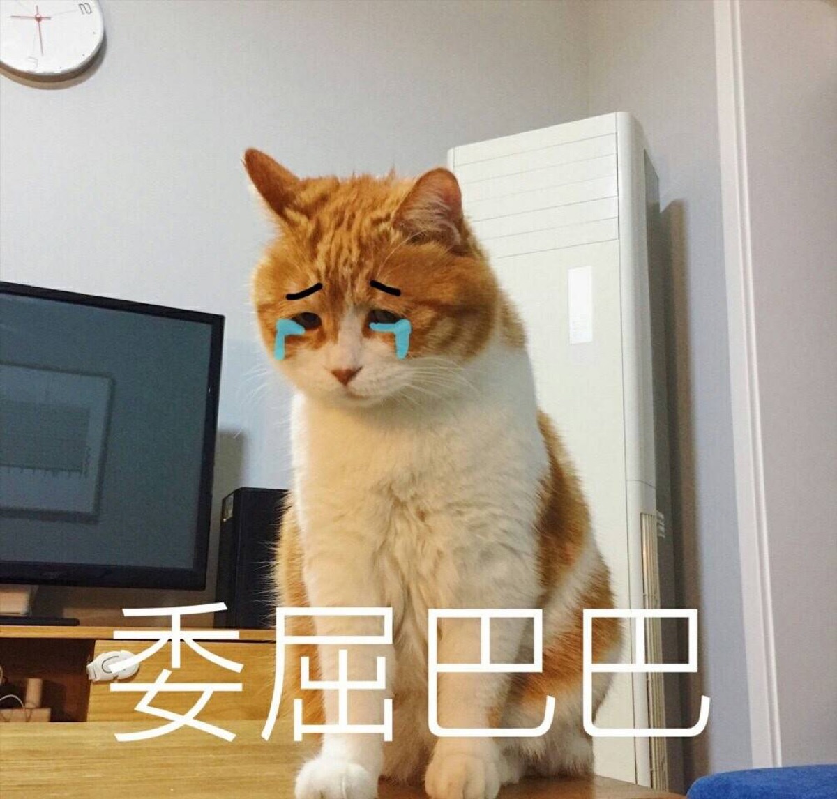 委屈巴巴