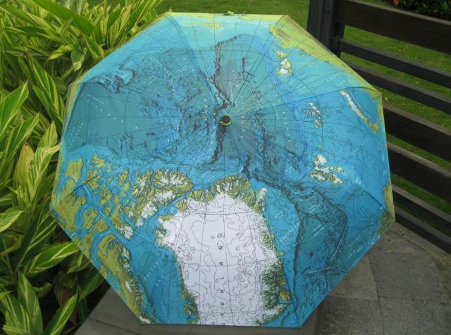 出口地图伞创意雨伞太阳伞晴雨伞自动开收全…