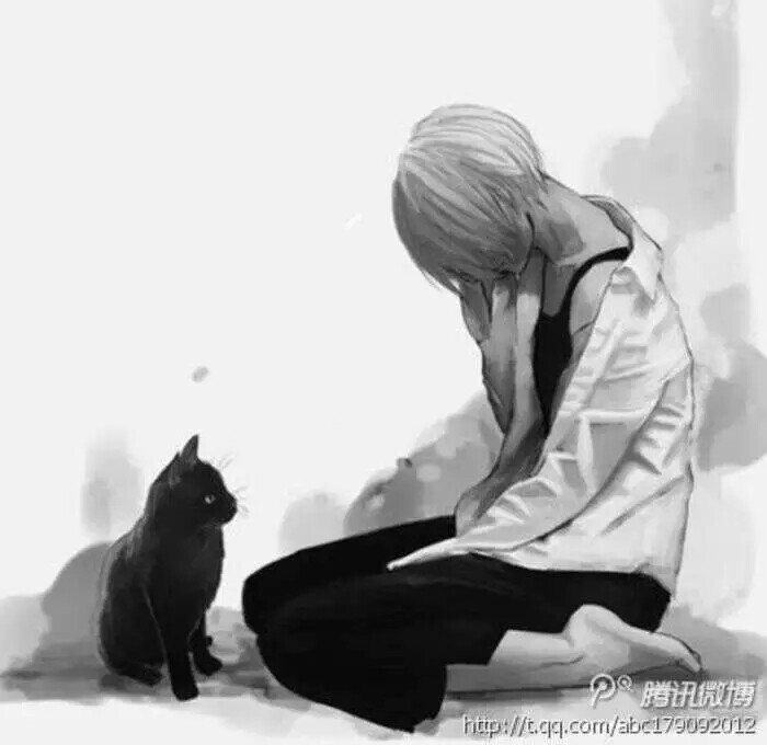 无助◇孤独◇黑猫◇黑白