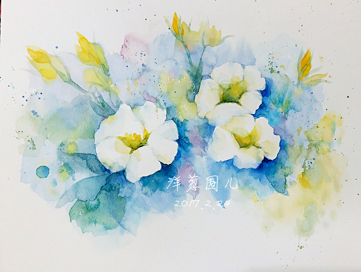 【原创水彩画】白色花朵,小清新