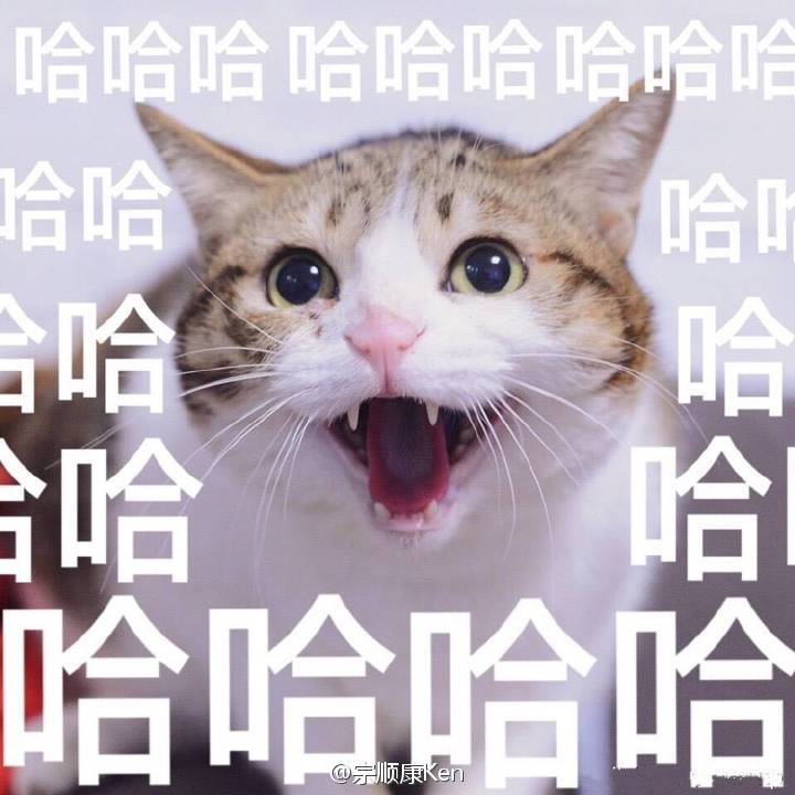 猫之阴笑