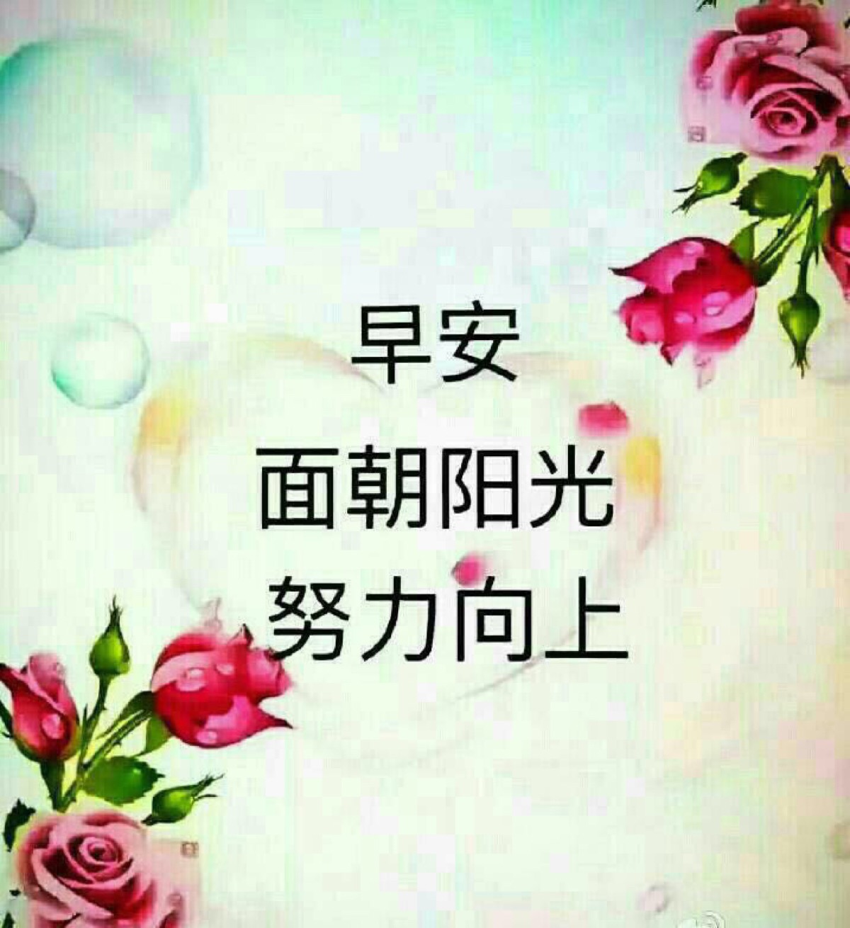 good morning 早安