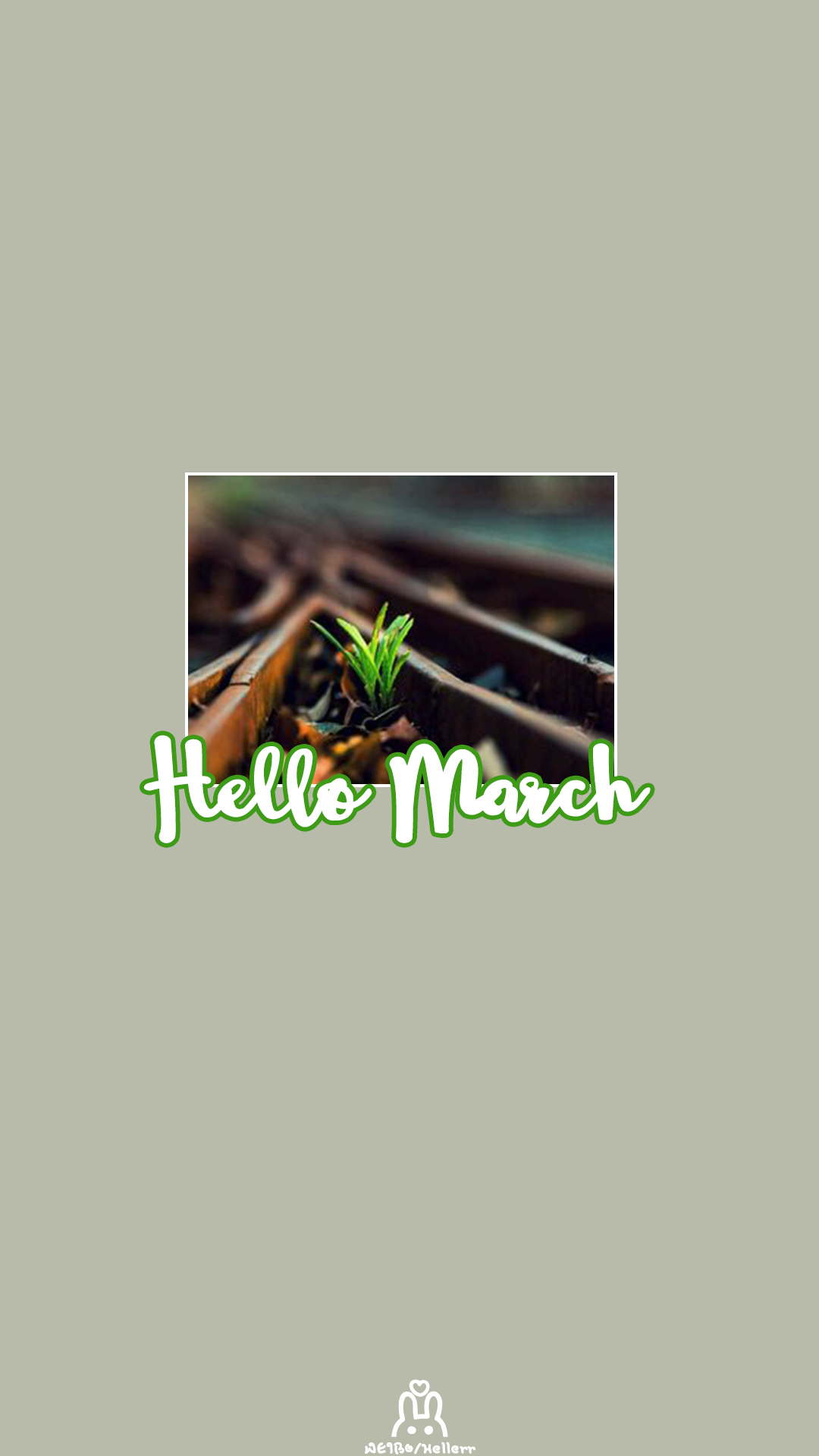 hello march 三月你好.