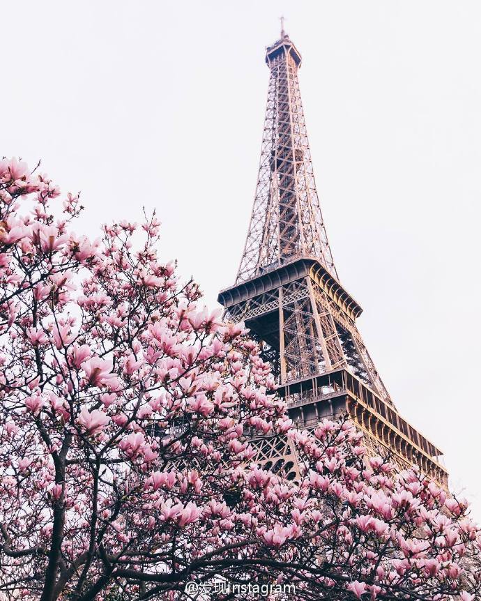 巴黎的春天 ins:wonguy974