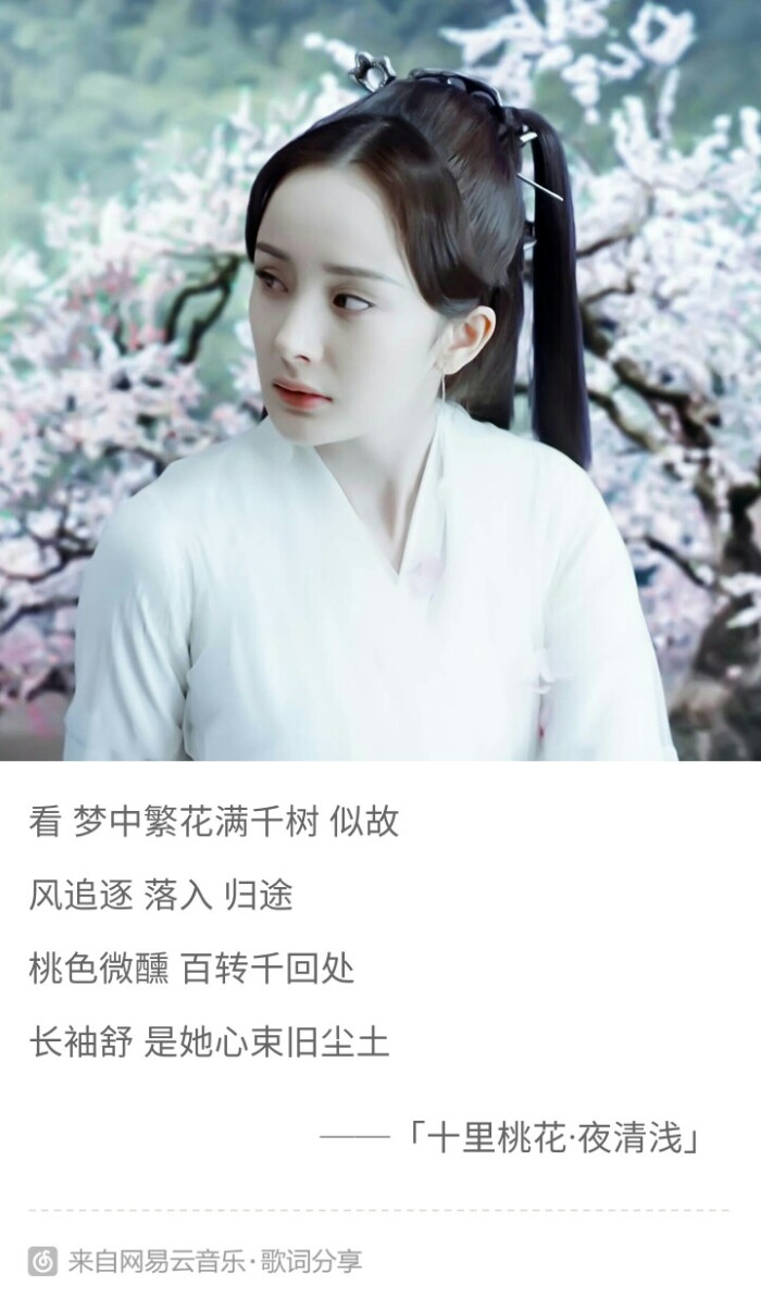 十里桃花 夜清浅 夜华白浅 歌词壁纸