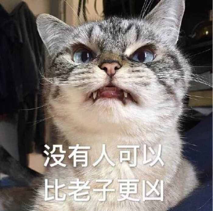 凶凶哒表情包