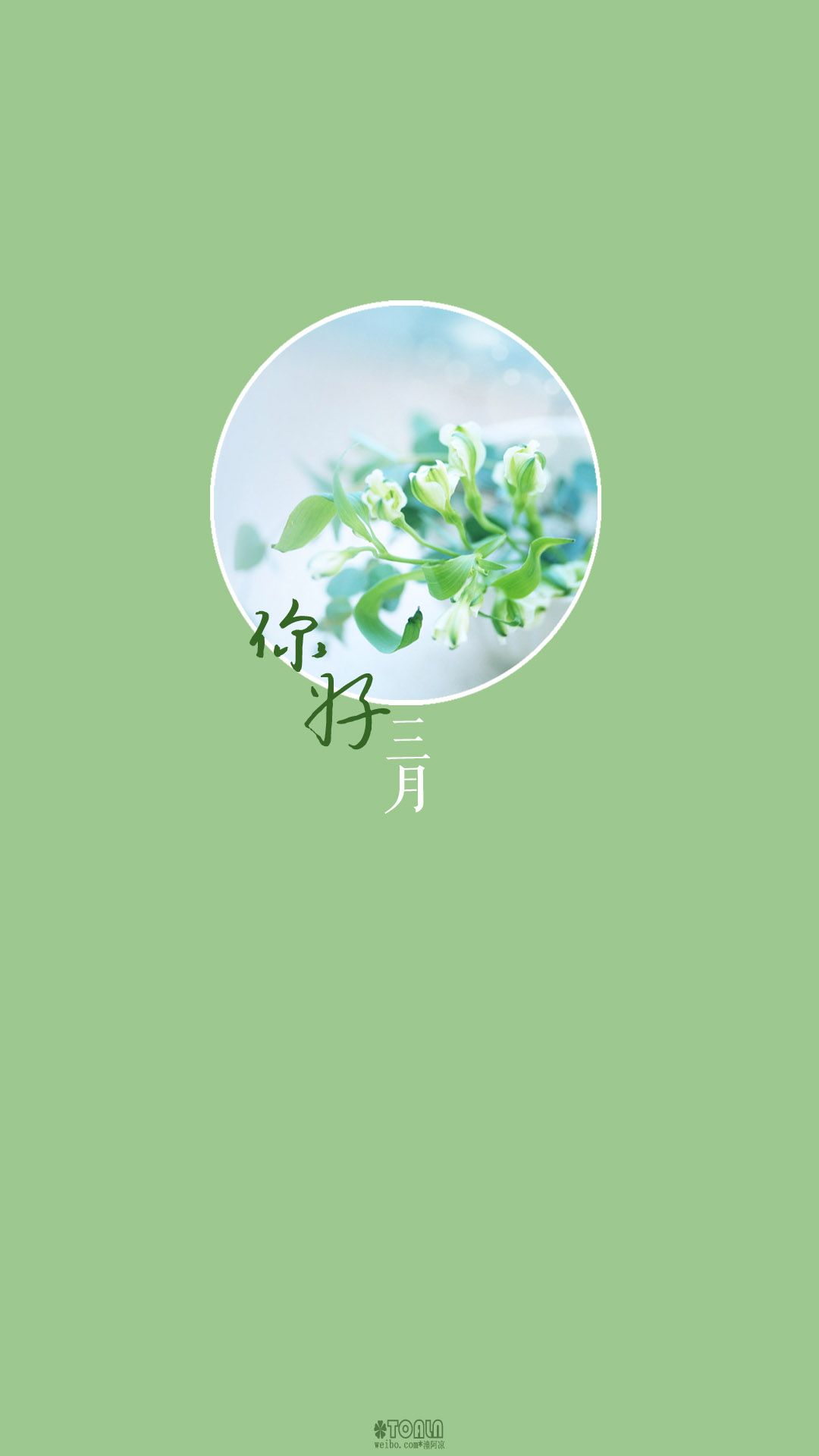[hello,march/你好,三月]#月份/节日/风景/花朵/英文/文字/文艺/壁纸