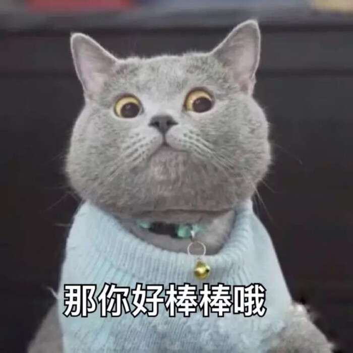 敲可爱 表情包 猫咪 猫