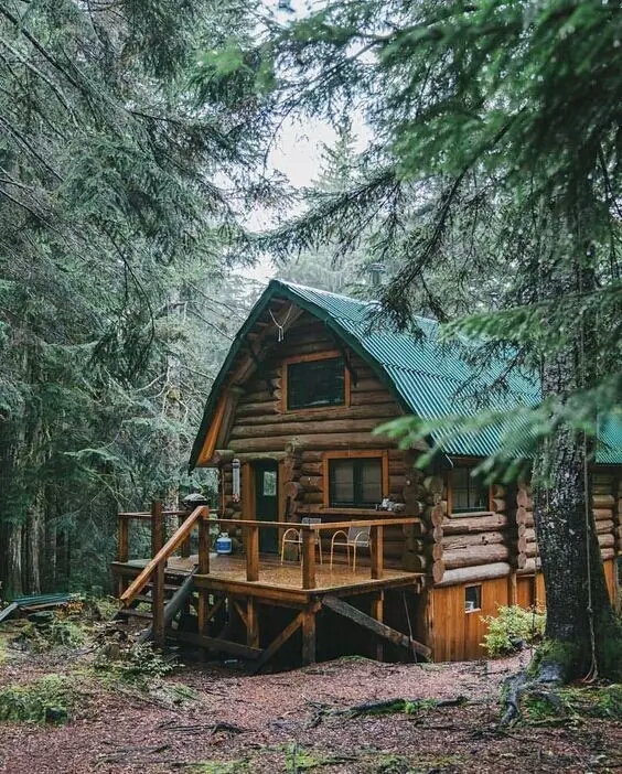 森林 木屋 房子