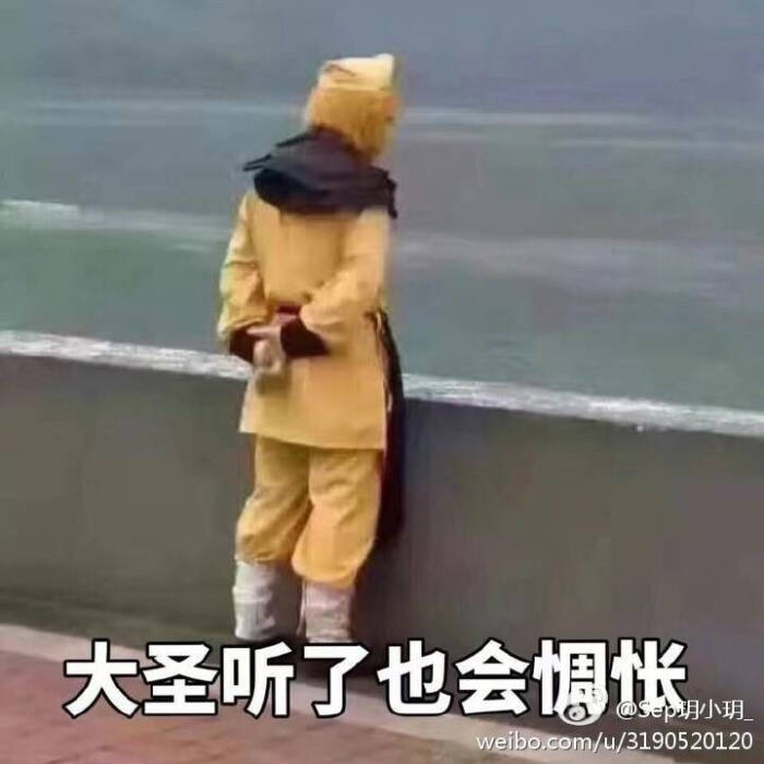表情包 【大圣听了也会惆怅】