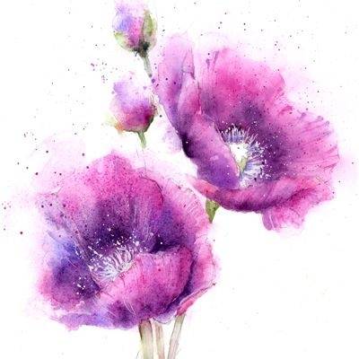 [cp]来自英国水彩画家 rose eddington 花卉绘画作品一组 [/cp]