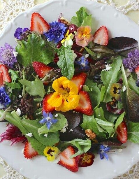 充满着春天气息的季节沙拉蛋糕 美食头像 家常菜 西餐 日式料理 甜品