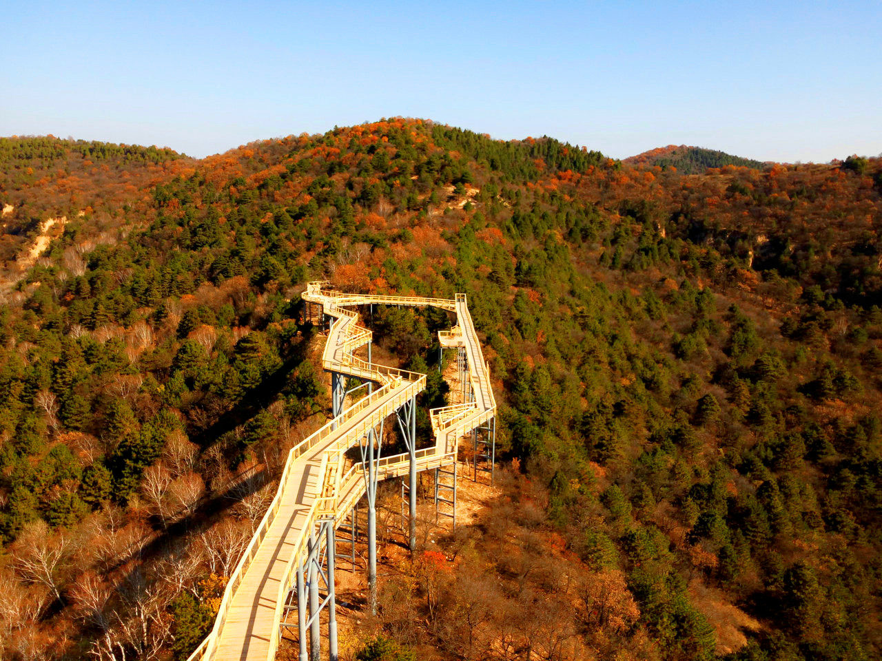 树顶漫步 科普栈道 旅游 黄龙 瓦子街 教育