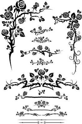自定义 封面 素材 黑白 白底 花纹 玫瑰 蔷薇 刺 叶子 唯美 漂亮.