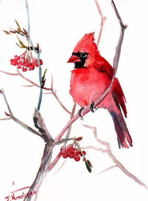 鸟的水彩画插画图片,来自插画师originalonly的作品,色彩艳丽,构图