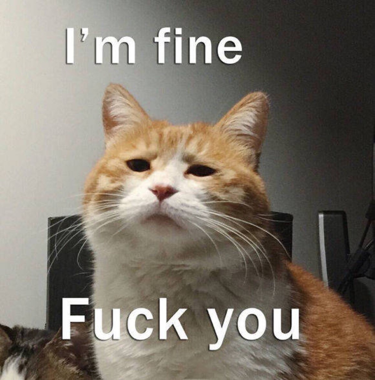 fine 