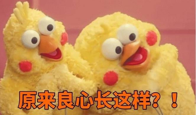 小黄鸡 良心系列表情包