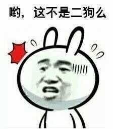 这不是二狗吗