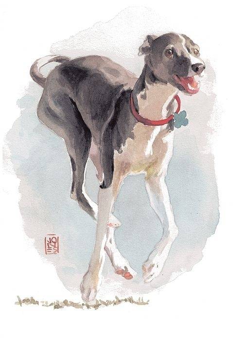 画家debra jones 宠物狗绘画作品