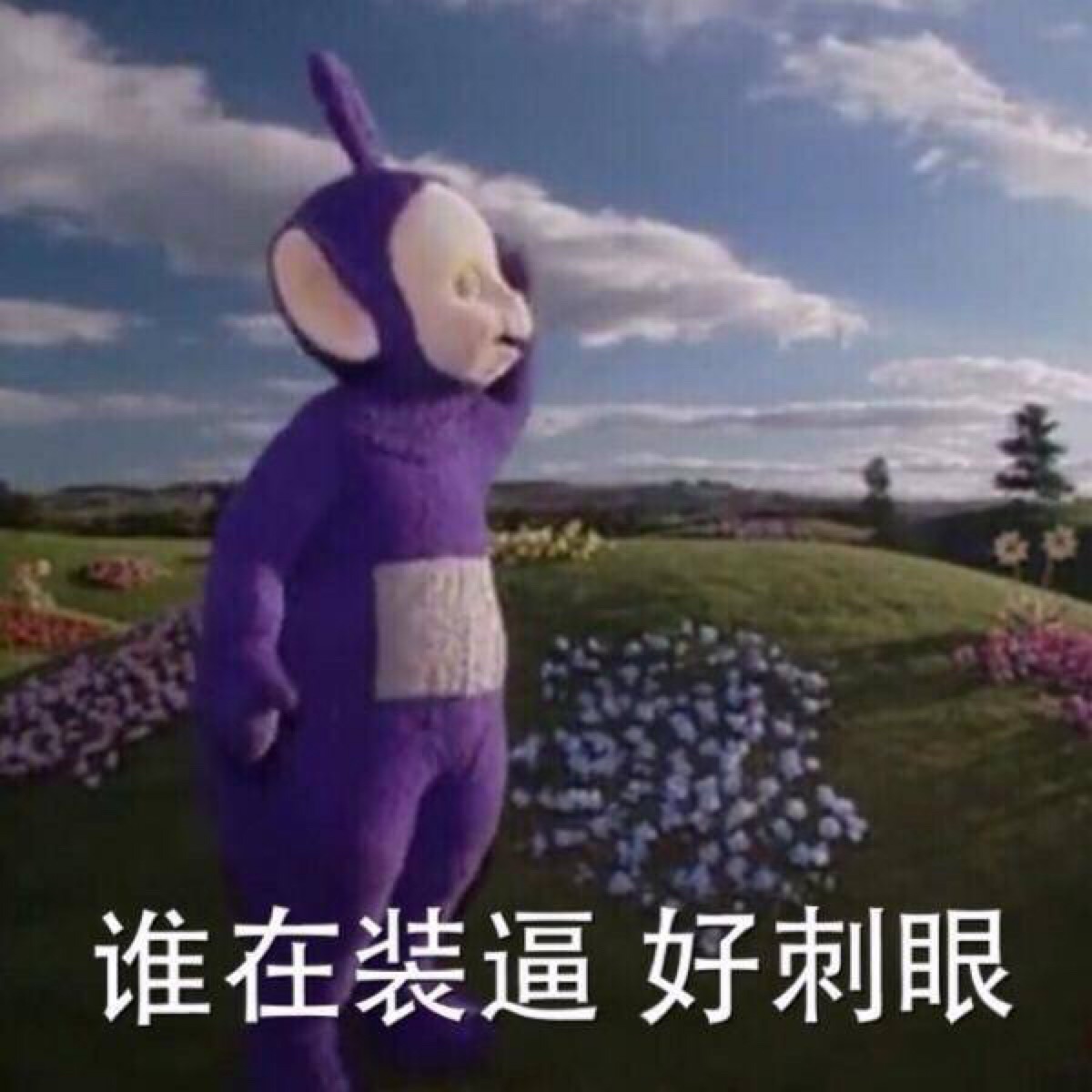 天线宝宝表情包系列# 谁在装逼 好刺 