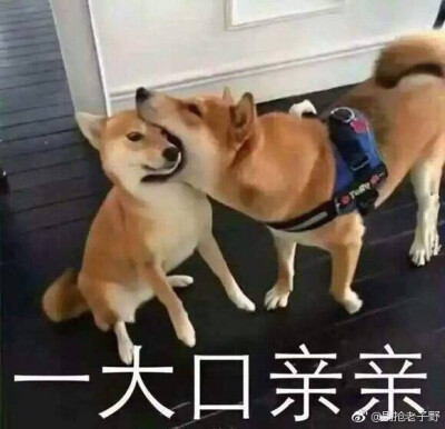 天真表情包