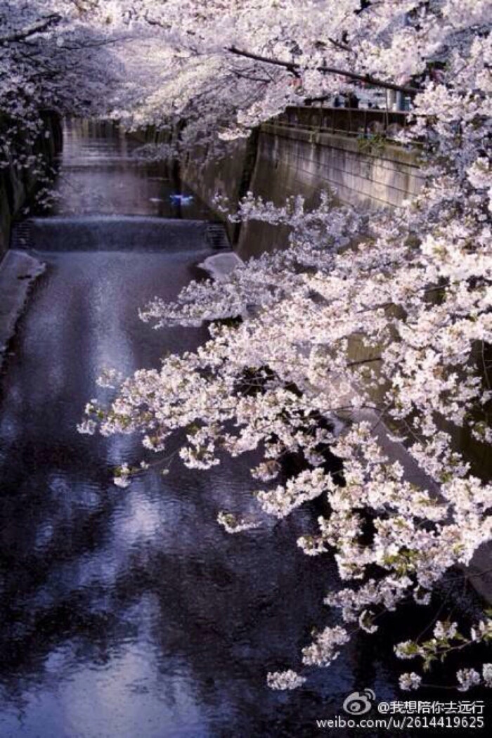 落花流水