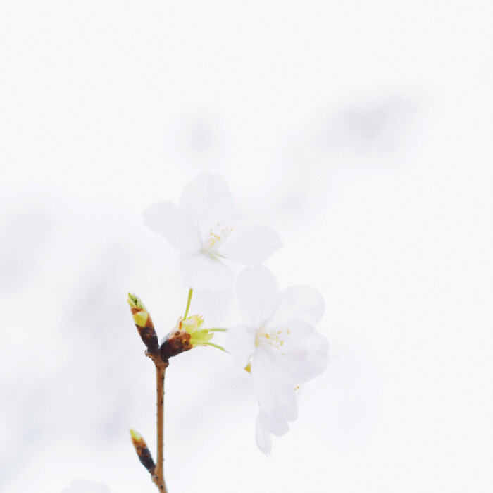 不问归期