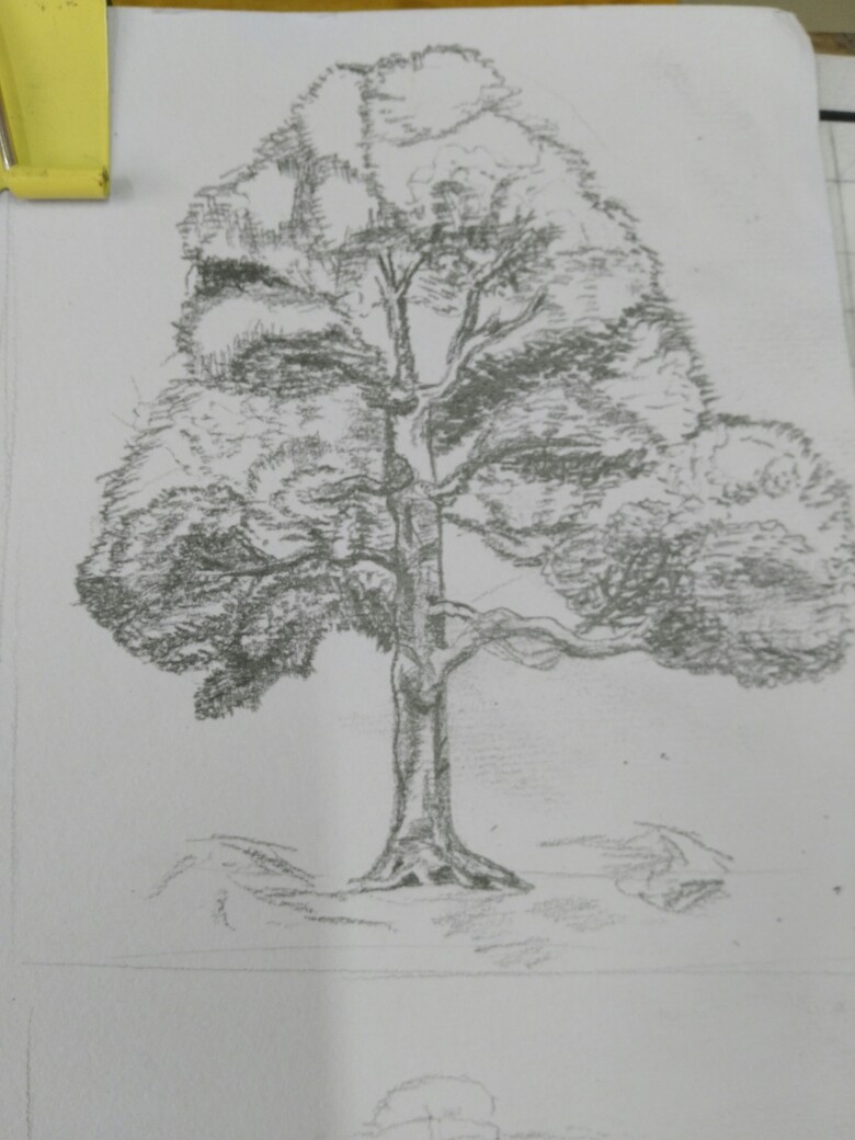 第一棵素描画法比较好的树