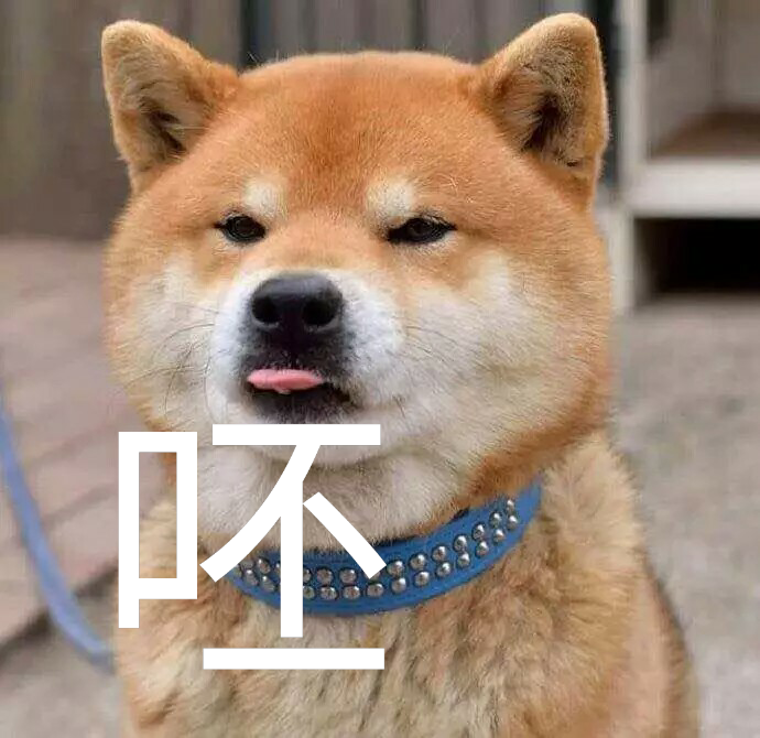 柴总表情包