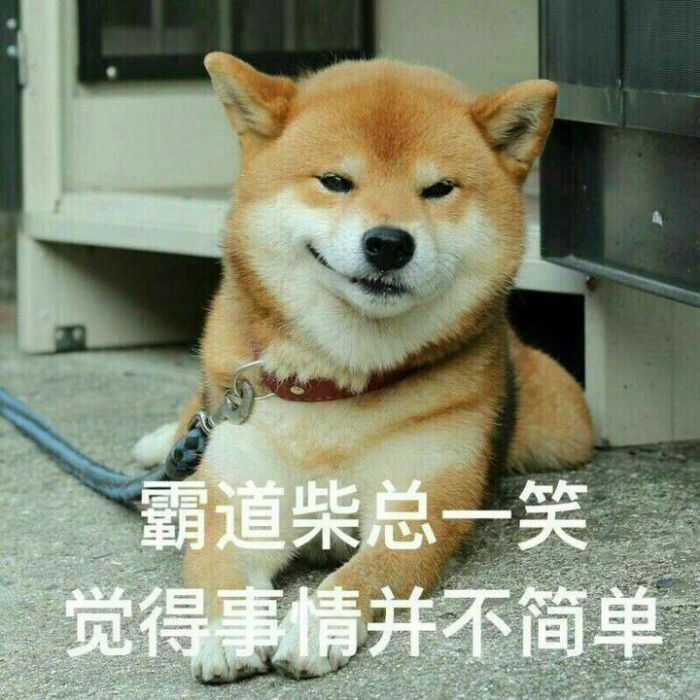 柴总表情包