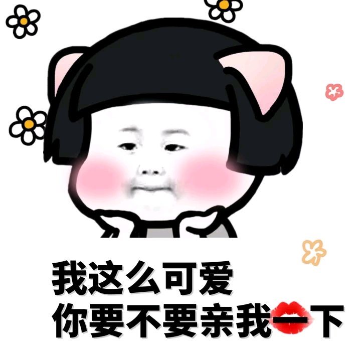 意境 美图 动物 大海 搞笑 gif 暴走漫画 文字控
