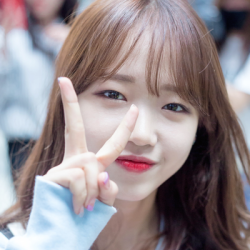 磪有情yoojung ioi 爱豆头像