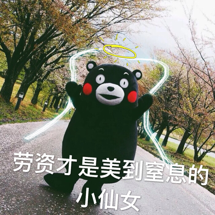 表情包.熊本熊.劳资才是美到窒息的小仙女!