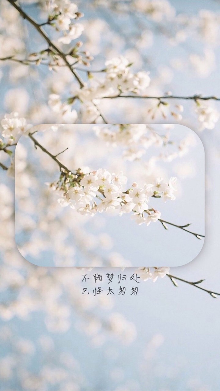 高清壁纸 套图 文字 英文 小清新 平铺 手写 素材 头像 励志 文艺