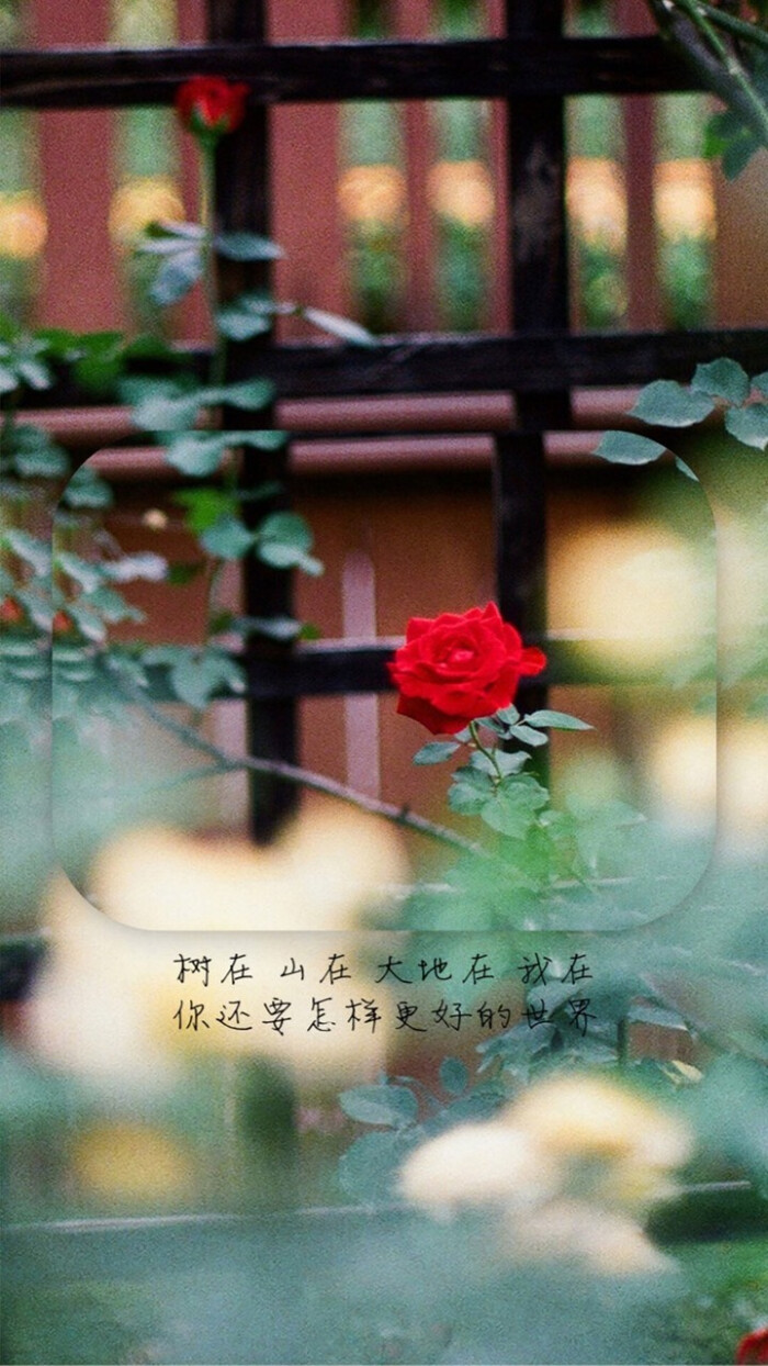少女心 软妹 杂图 歌词 早安心语 分割字 备忘录欢迎勾搭()小仙女们