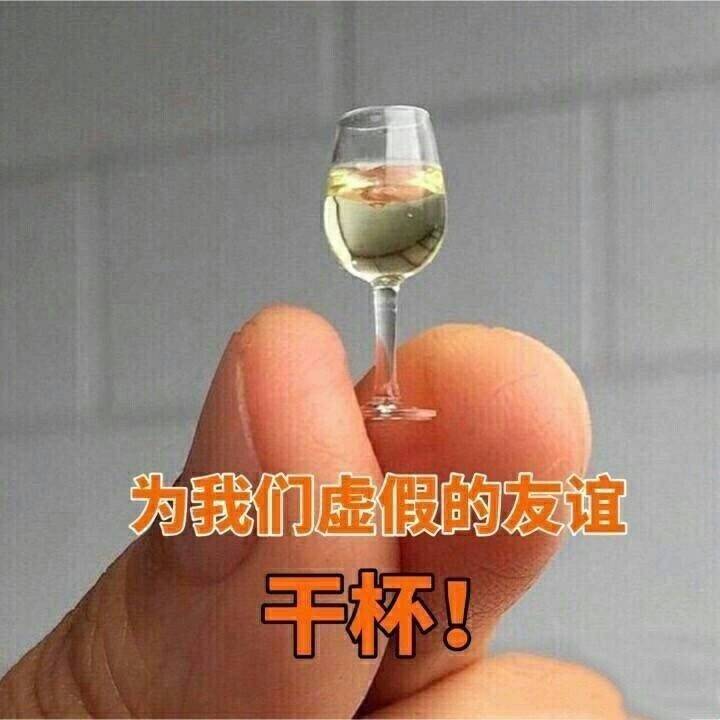 表情包【为我们虚假的友谊,干杯】