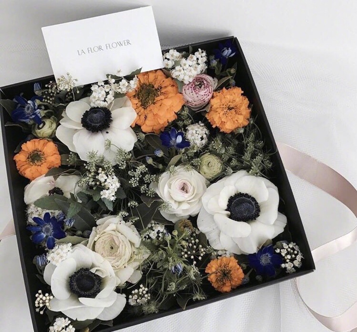 盒子花 